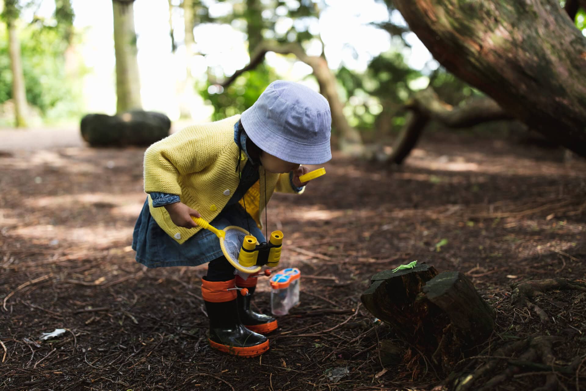 toddler girl playing exploration in spring park iStock 1156992178 scaled