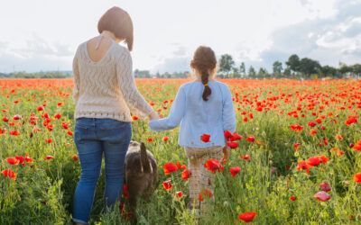 Urlaub mit Hunden